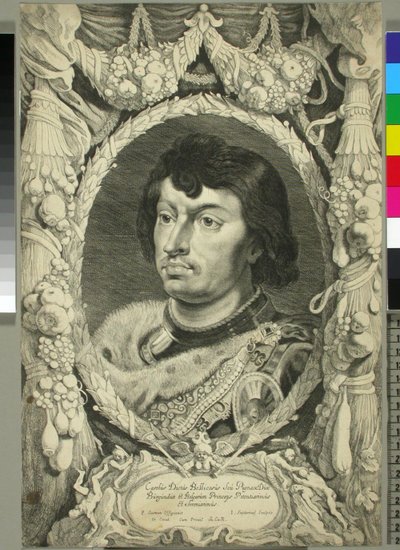 Charles the Bold, Duke of Burgundy by Jonas Suyderhoef