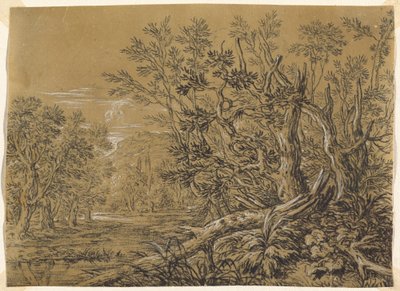 Stream through an Ancient Forest by Jonas Umbach