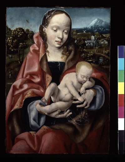 Virgin and Sleeping Christ Child by Joos van Cleve