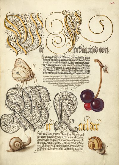 Butterfly, Sweet Cherry, and Land Snails by Joris Hoefnagel