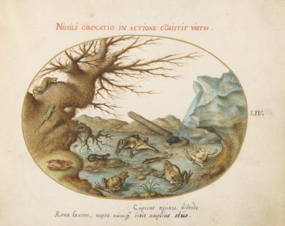 Plate 54: Frogs in a Landscape by Joris Hoefnagel