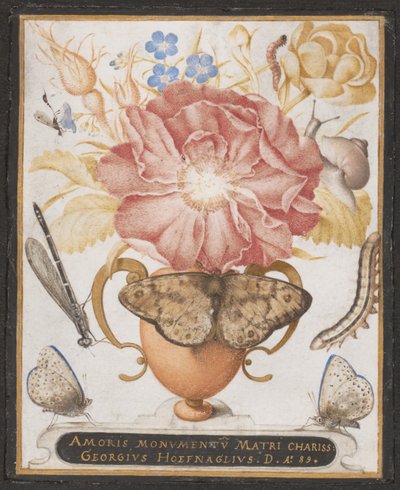 Still Life with Flowers, a Snail and Insects by Joris Hoefnagel