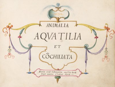Title Page by Joris Hoefnagel