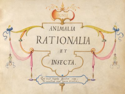 Title Page by Joris Hoefnagel