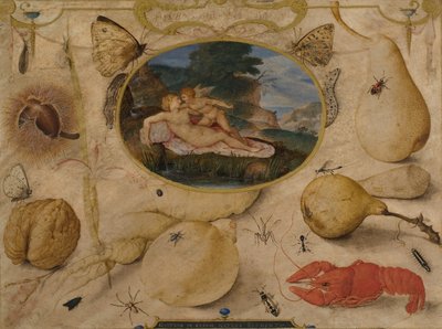 Venus disarming Amor in a medallion surrounded by plants, fruits, insects and shellfish by Joris Hoefnagel
