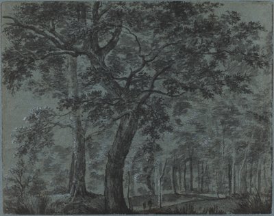 Woods at Night with Travelers by Joris van der Haagen