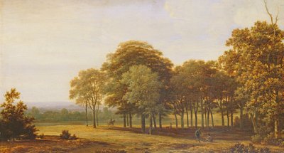Road in the Woods by Joris van der Haagen or Hagen