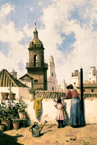 Roof terrace in Cadiz. A mother and daughter probably watering the plants with the watering can in the middle of the terrace. Painting by Jose Perez Siguimboscum (19th century), late 19th century. Cadiz, Museo Provincial de Cadiz. by Jose Perez Siguimboscum