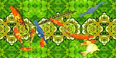Creatures: Koi Carp Fish Under Water Garden 3 by Josef Johann Michel