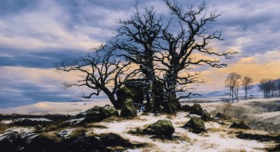 JJM Recreates Friedrich-C-D: Megalith Grave in Winter (Panorama) by Josef Johann Michel