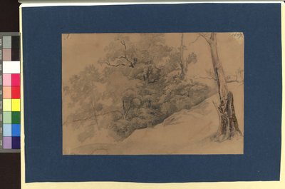 Landscape Study by Josef Kriehuber