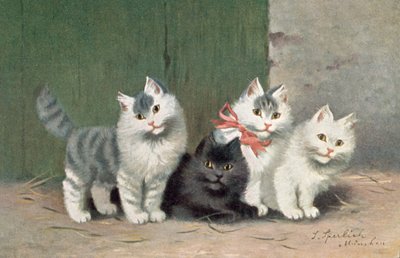 Cat postcard by Josef Sperlich