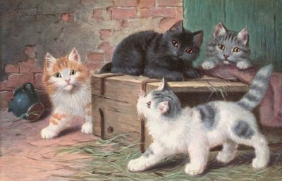 Cat postcard by Josef Sperlich