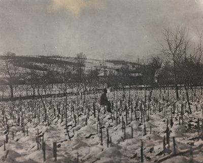Military cemetery (b/w photo) by Josef Zohles