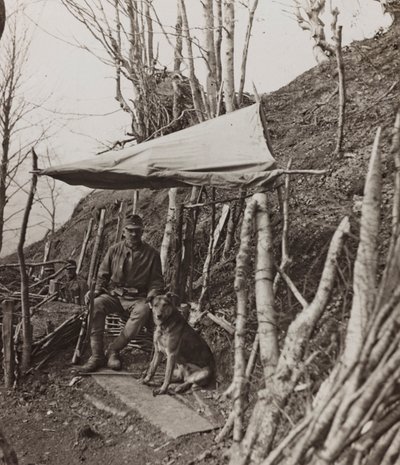 Album "Meine weltkriegs - Erinnerungen South-West Front (Carinthia, Italy, South Tyrol) 31/03/1915-12/11/1918 - Josef Zohles Wien": military dog under a tent by Josef Zohles