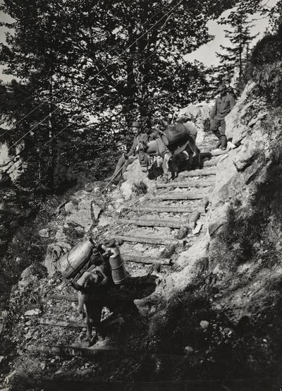 Album "Meine weltkriegs - Erinnerungen South-West Front (Carinthia, Italy, South Tyrol) 31/03/1915-12/11/1918 - Josef Zohles Wien": Army mules along a steep descent by Josef Zohles