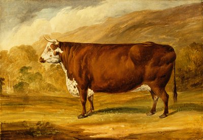 A Hereford Bull by Joseph Dunn