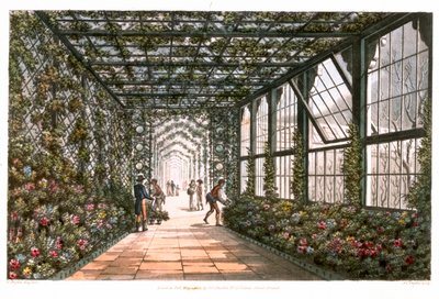 Corridor of a Conservatory, 1808 by Joseph Constantine Stadler