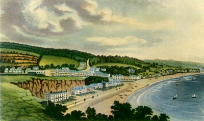 View of Dawlish from the West Cliff by Joseph Constantine Stadler