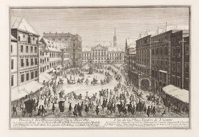 Vienna New Market by Joseph Emanuel Fischer von Erlach