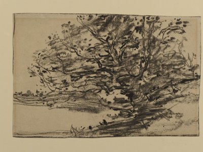 Study of Trees, 1870 by Joseph Frank Currier