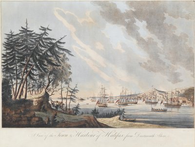 A View of the Town and Harbour of Halifax from Dartmouth Shore by Joseph Frederick Wallet DesBarres