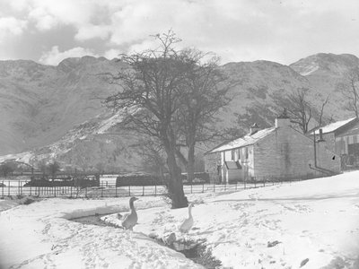 Geese in foreground next to small stream with snow-covered ground all around and buildings in background by Joseph Hardman