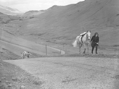 Horses being led up mountain pass by riders who have dismounted by Joseph Hardman