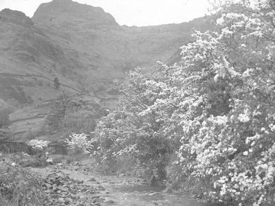 River with blossom trees lining bank and Langdale Pike in background by Joseph Hardman