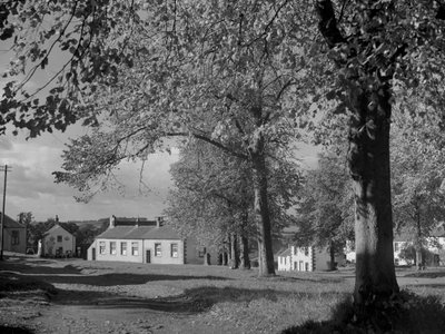 Trees in leaf and view of village buildings by Joseph Hardman