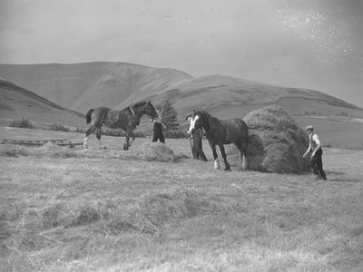 Two horses pulling sledges by Joseph Hardman
