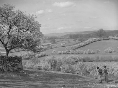 Two women looking at blossom trees in foreground by Joseph Hardman
