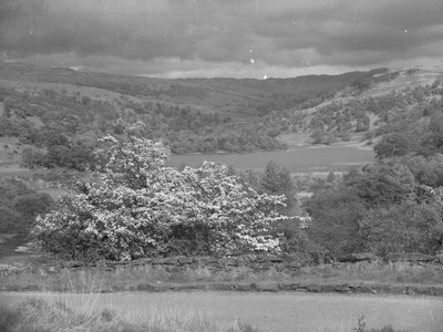 View Across a Lake at Rydal by Joseph Hardman