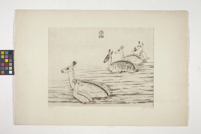Indochinese Deer I by Joseph Hecht