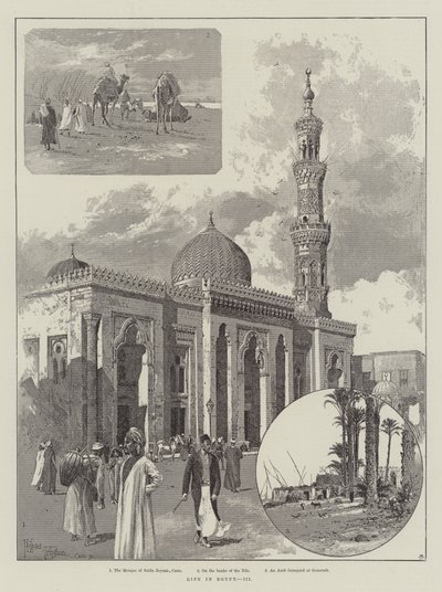 Life in Egypt by Joseph Holland Tringham