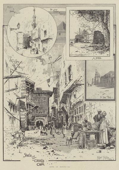 Life in Egypt by Joseph Holland Tringham