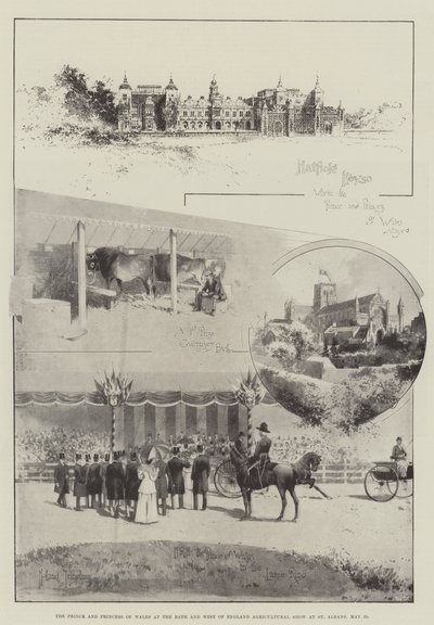 The Prince and Princess of Wales at the Bath and West of England Agricultural Show at St Albans, 29 May by Joseph Holland Tringham