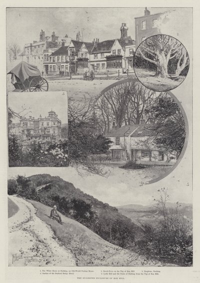The Suggested Enclosure of Box Hill by Joseph Holland Tringham