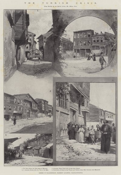 The Turkish Crisis by Joseph Holland Tringham