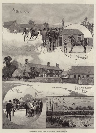 Visit to a Royal Stud Farm, at Wolferton, near Sandringham by Joseph Holland Tringham