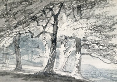 Norbury Park, Surrey by Joseph Mallord William (attr.to) Turner