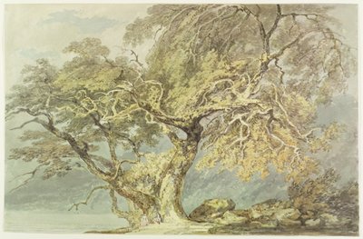 A Great Tree, c.1796 by Joseph Mallord William Turner