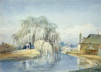 A Weeping Willow by Joseph Mallord William Turner
