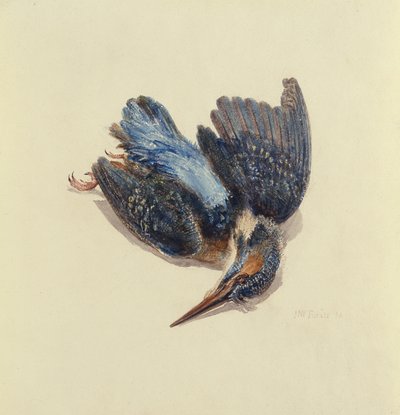 Kingfisher, from The Farnley Book of Birds by Joseph Mallord William Turner