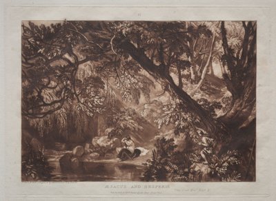 Liber Studiorum: Aesacus and Hesperie by Joseph Mallord William Turner