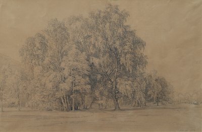 Birch Group in the Park of Seebenstein Castle in Lower Austria by Joseph Martin Höger