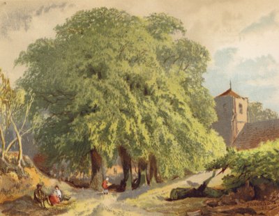 Village Scene, Limes by Joseph Needham