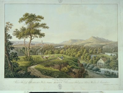 View of Jena from Rasenhuehlberg, c.1810 (etching) by Joseph Roux