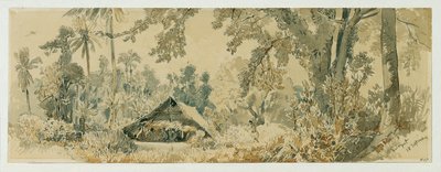 Native Hut on the Island of Puinipet (Ponape), Caroline Islands by Joseph Selleny