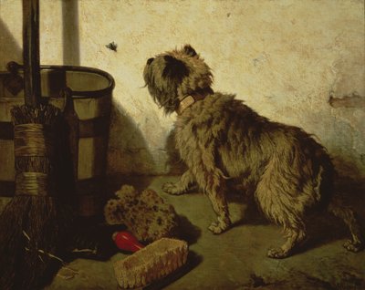 The Dog and the Fly by Joseph Stevens